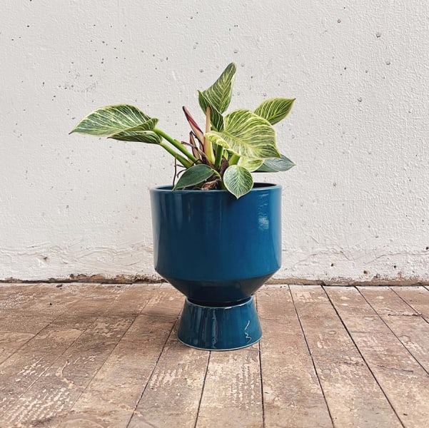 Matera Noyau II - Imagen 6